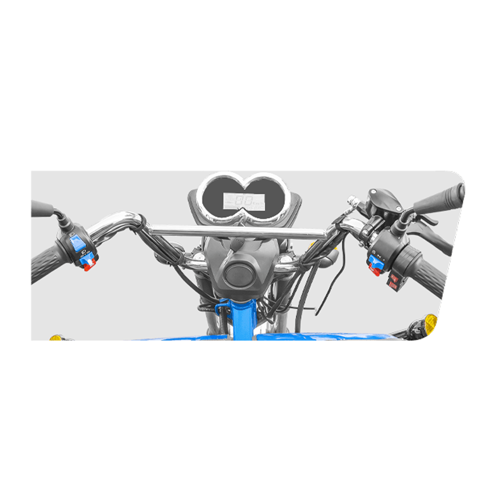 Tricicleta Electrica L2E-U